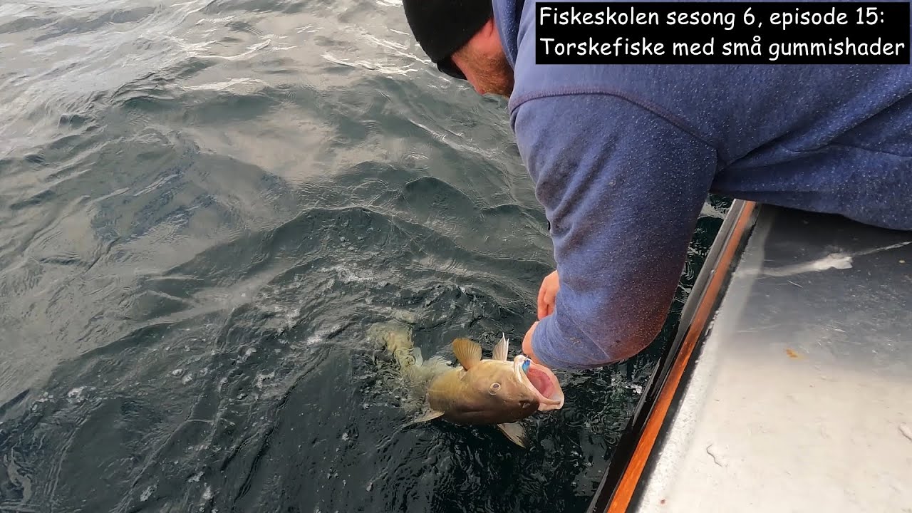 Fiskeskolen sesong 6, episode 15: Torskefiske med små gummishader