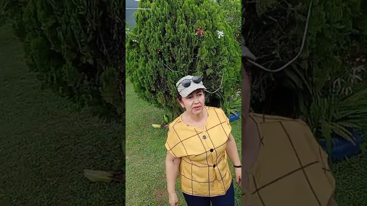 7 de enero de 2026