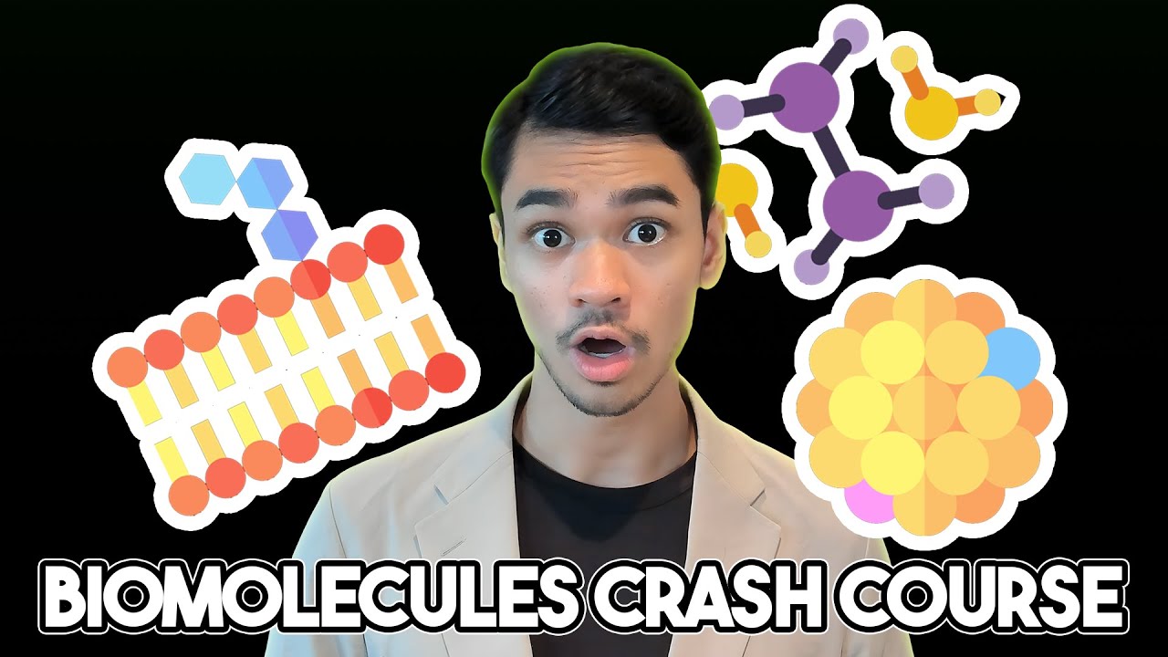 We Summarised Biomolecules For You In 9 Minutes