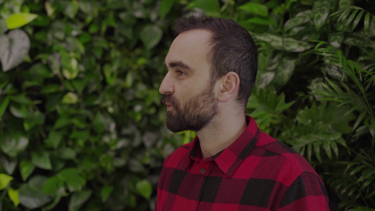 Az ország legmagasabb beltéri zöldfala  🌱 | COMPACT NATURE KFT.