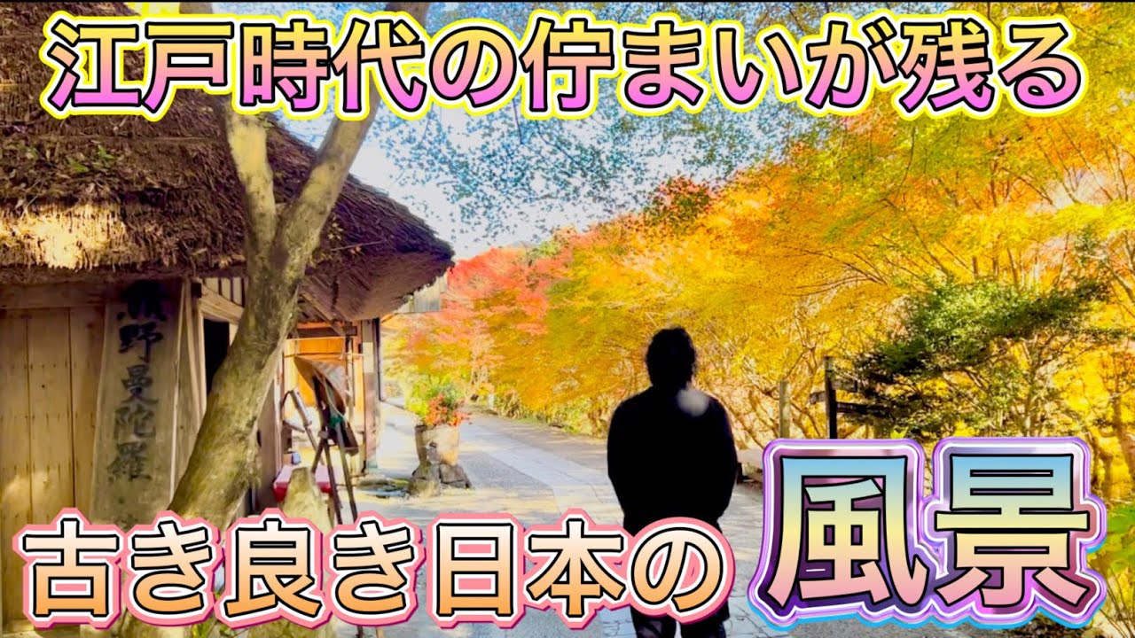 【和歌山旅】『紅葉と茅葺き屋根』たくさんの旅人を癒してきた熊野古道の休憩所『とがの木茶屋』