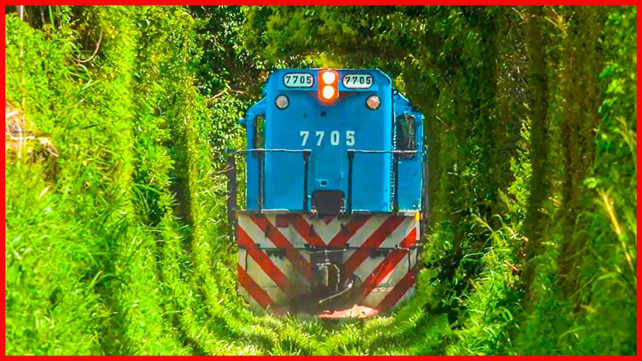 PARA EVITAR LOS ROBOS, ASI SE PREPARAN LOS TRENES DE CARGA PARA SALIR DE CORDOBA - ARGENTINA