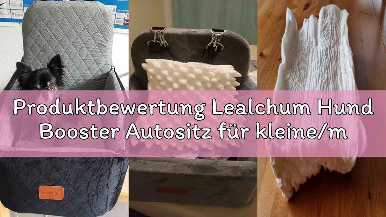 Produktbewertung Lealchum Hund Booster Autositz für kleine/mittlere Hunde, Memory Foam erhöhte Kisse