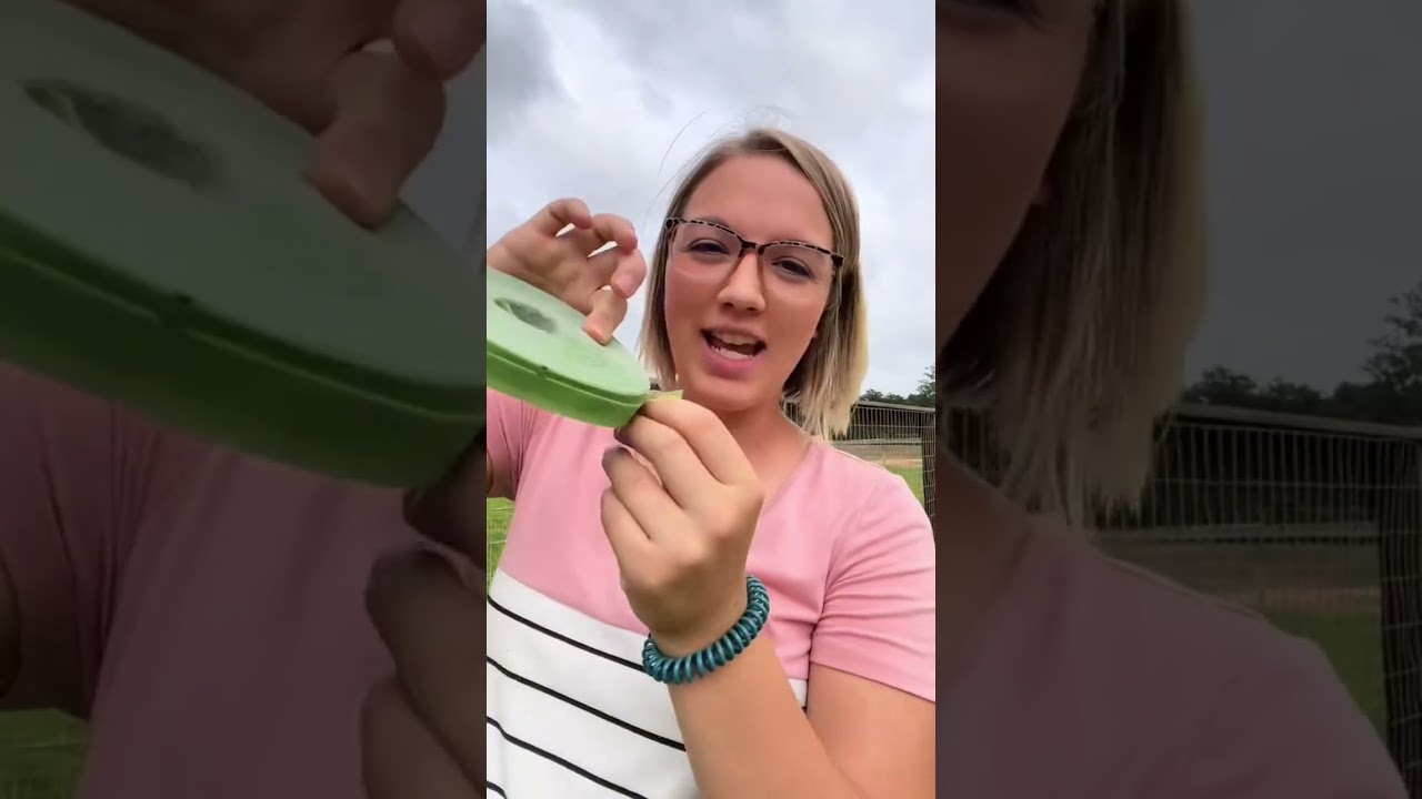 #beginnergardening #garden #beginnersgardening #gardeningideas #gardening #gardeningtips