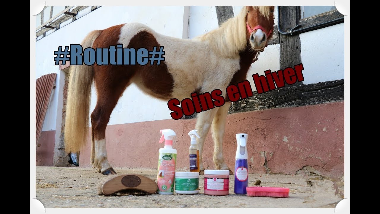 #Routine# Soins en hiver