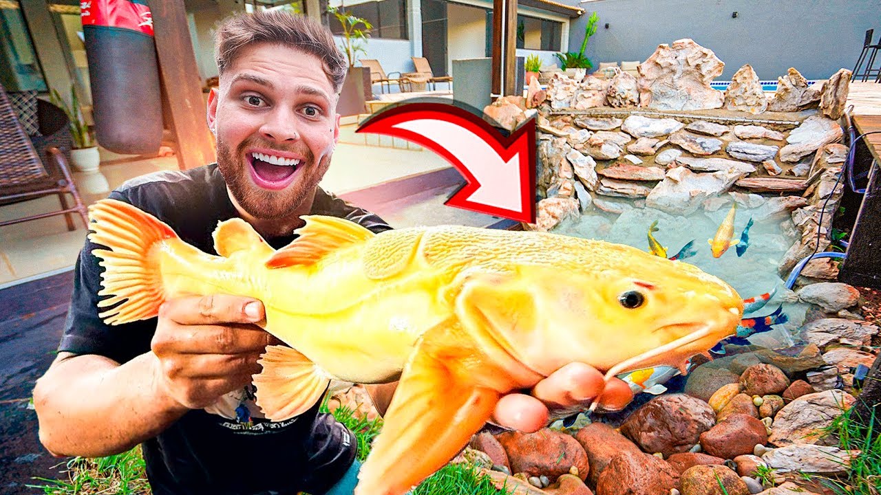 ESSES SÃO OS ULTIMOS PEIXES QUE COLOQUEI NO MEU LAGO 😍 PIRARARA ALBINA