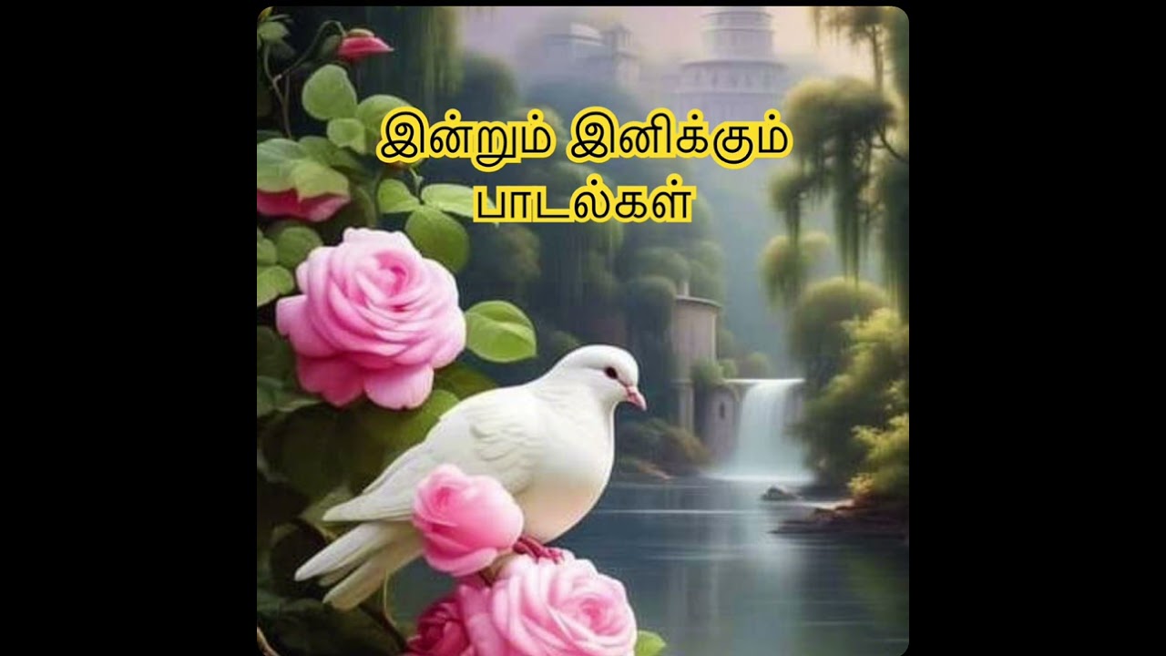 Timeless classics ||இன்றும் இனிக்கும் பாடல்கள்🌹