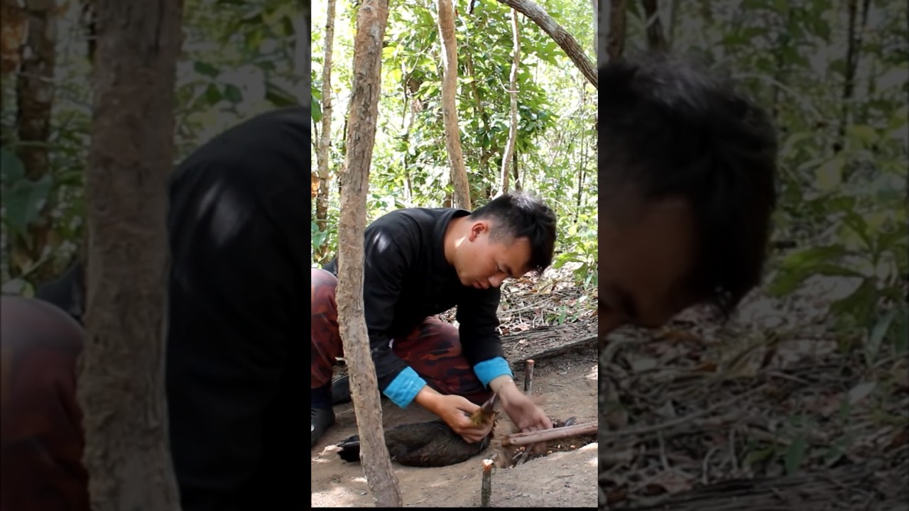 easy way to catch wild chicken