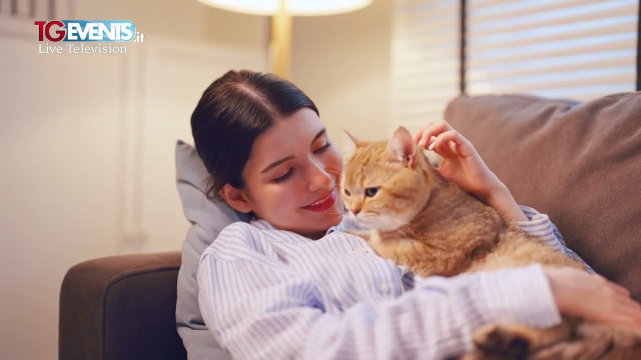 La curiosità è gatto con Marco anelli CGTV Channel