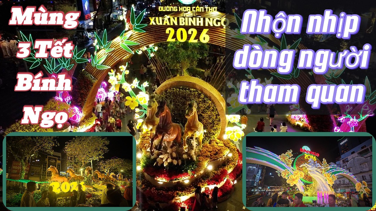 Đường Hoa Nghệ Thuật Cần Thơ  -  Mùng 3 Tết
