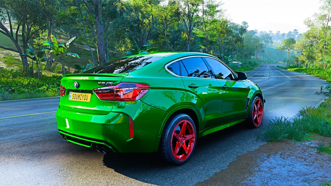 BMW X6 | Forza Horizon 5 Logitech G29 Steering Wheel Gameplay in 4K
