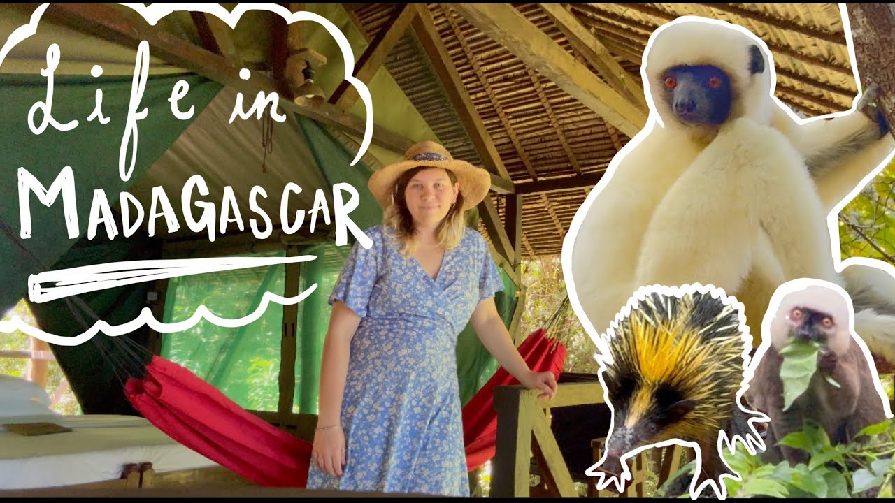 Wildlife Sightings in June | Living in Madagascar Vlog #3