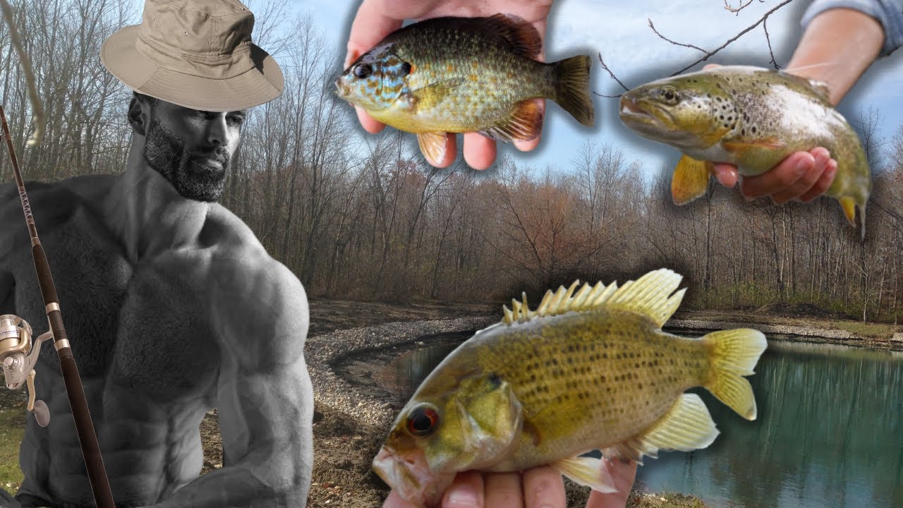 Why Multi-Species Fish is the Best! (Feat. Bryce Goes Fishing)