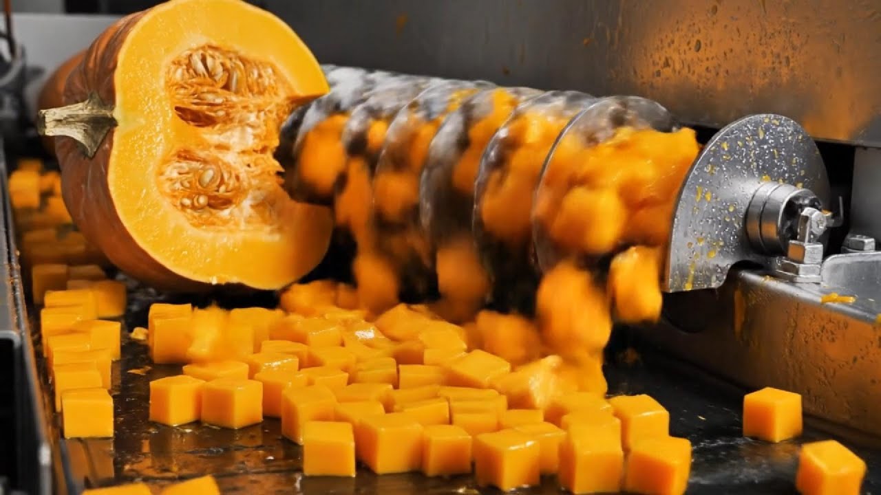 Mass Production of Pumpkin How Millions of Pumpkins are Processed