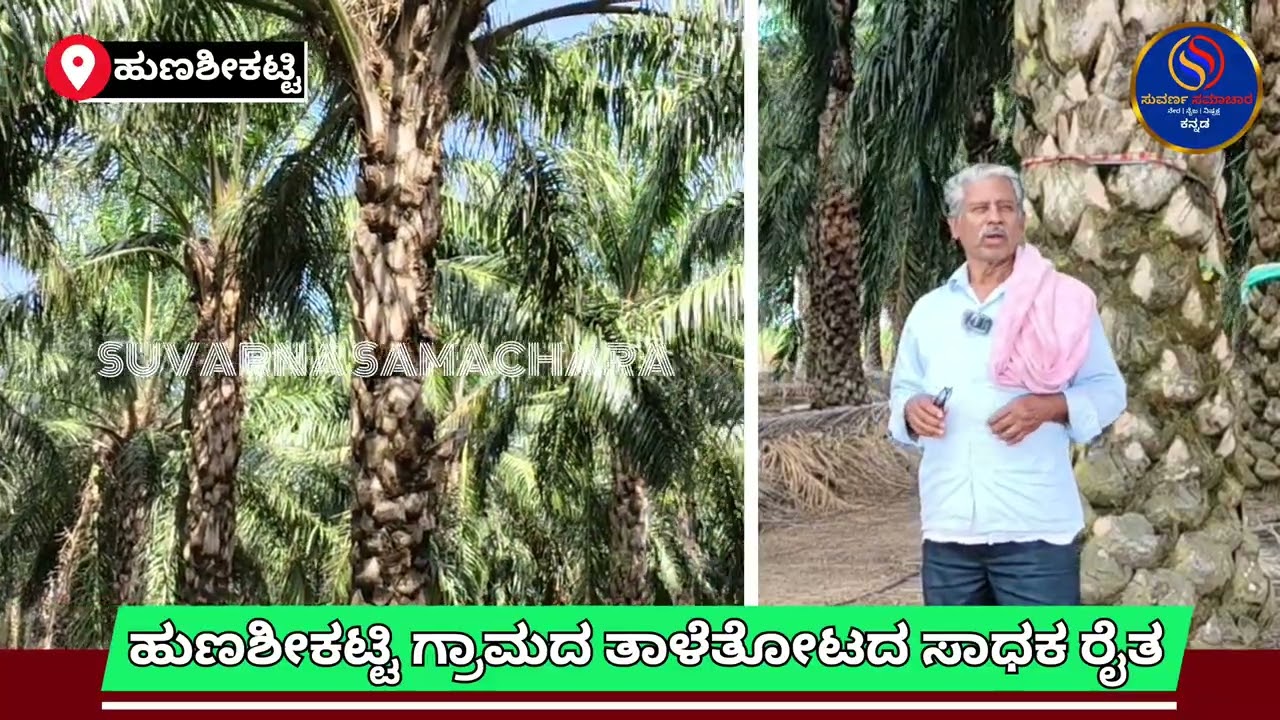 ತಾಳ್ಮೆಯಿಂದ ತಾಳೆ ಬೆಳೆದ ಯಶಸ್ವಿ ರೈತ | VIDEO -01 | SUVARNA SAMACHARA KANNADA 