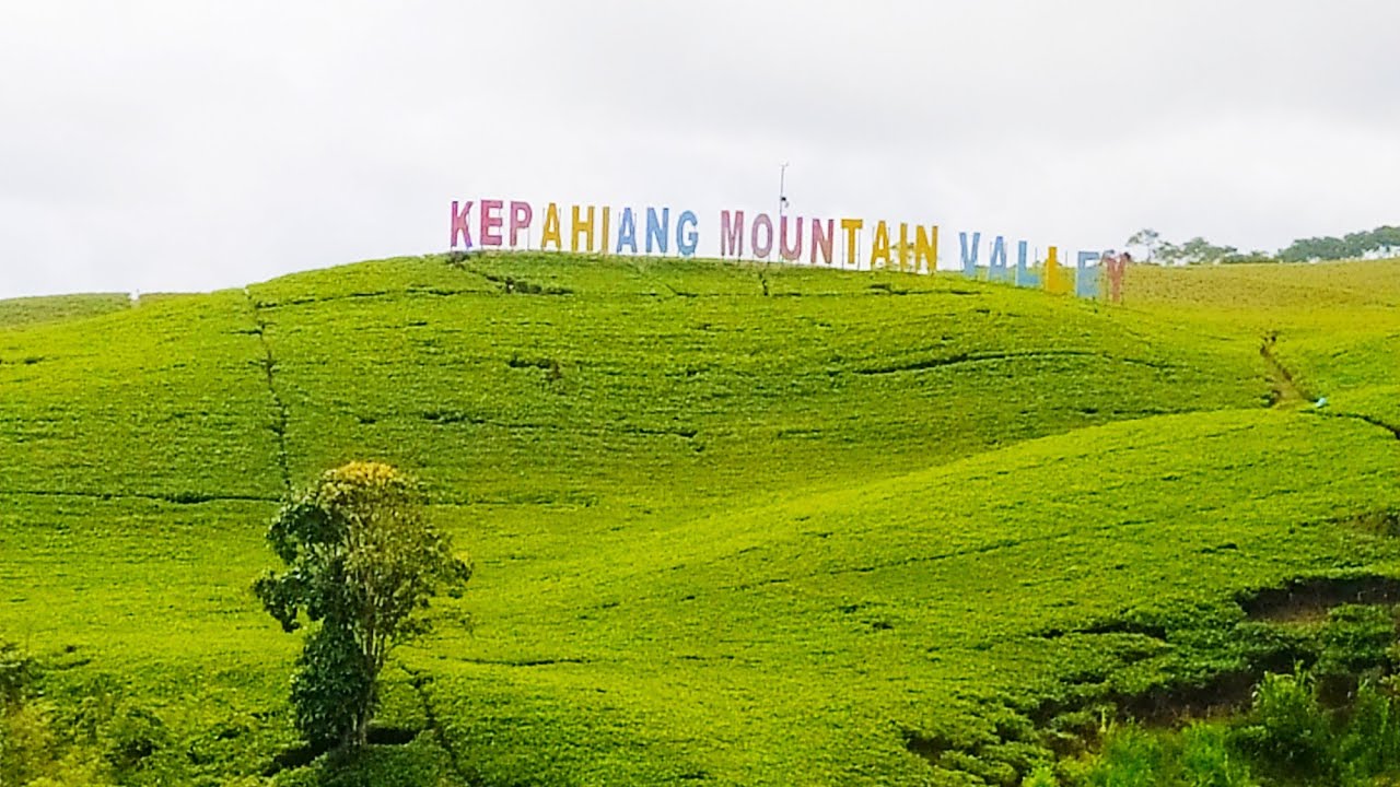 wisata alam Kebun teh kabawetan kepahiang bengkulu
