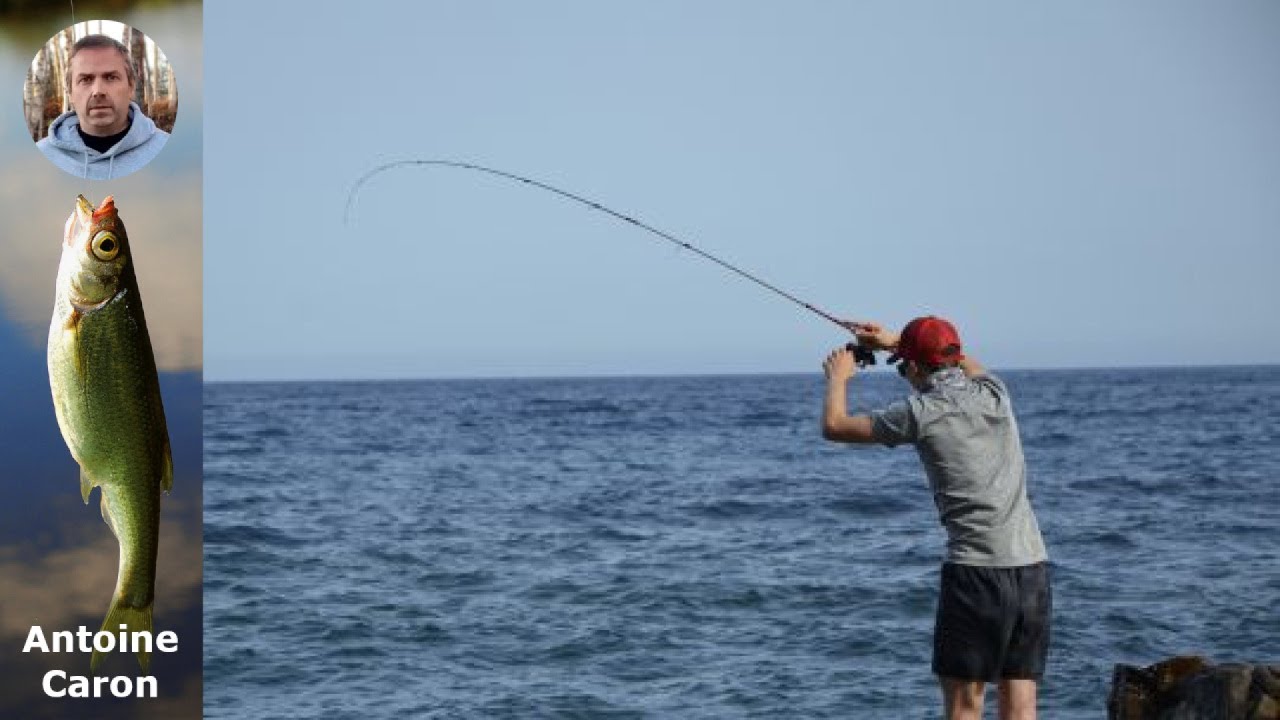 Guide Ultime : Choisir le Matériel Parfait pour Pêcher le Sar au Leurre Dur