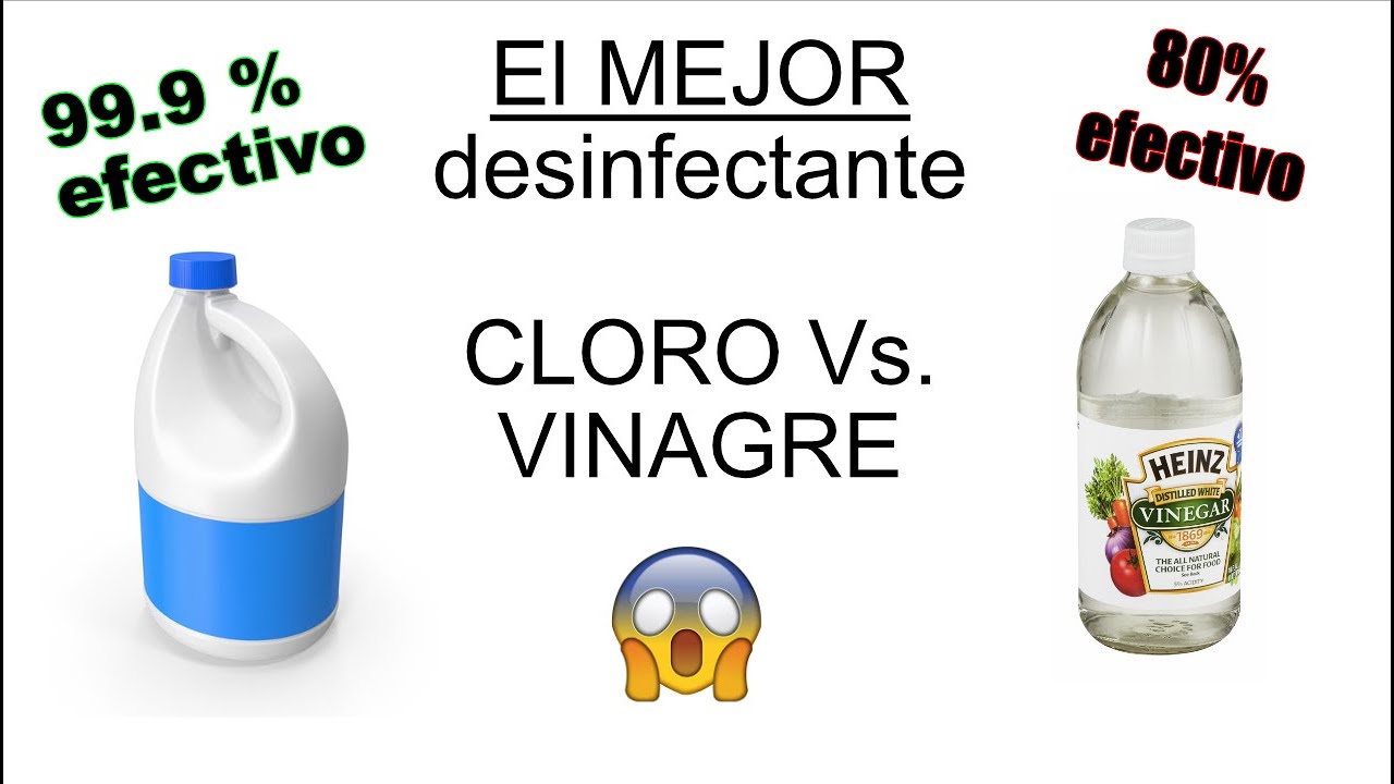 VINAGRE Vs. CLORO: CUÁL ES EL MEJOR DESINFECTANTE