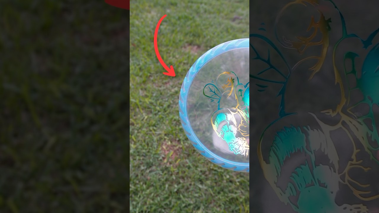 this disc is $100 🤑🥏