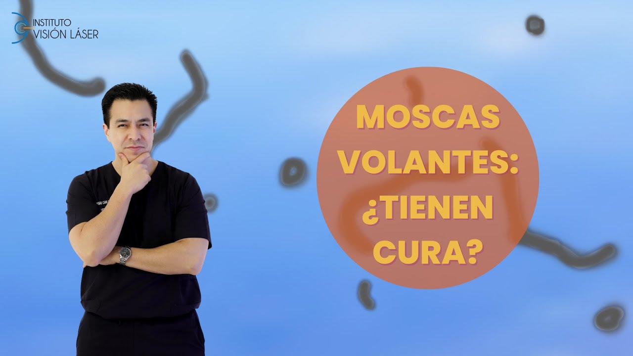Moscas volantes ¿Tienen cura?