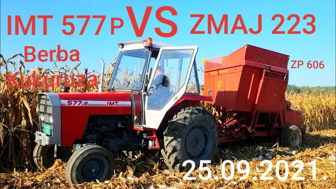 Berba Kukuruza 25.09.2021. | IMT 577 i ZMAJ 223 | IMT 577 P