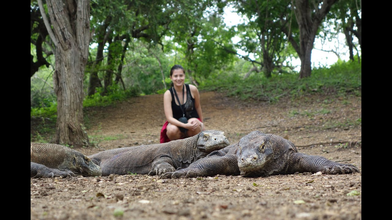 Exploring the Komodo Islands!
