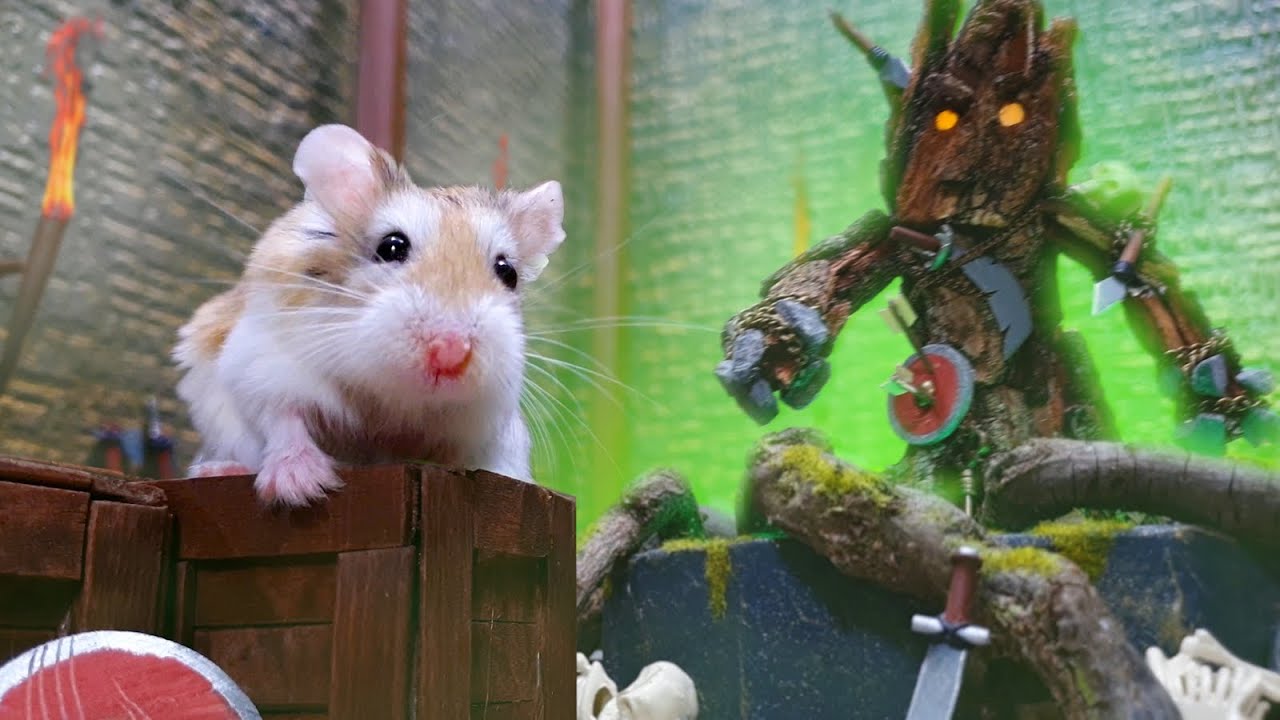 MAJOR HAMSTER vs DUNGEON MONSTERS - Epic ADVENTURE
