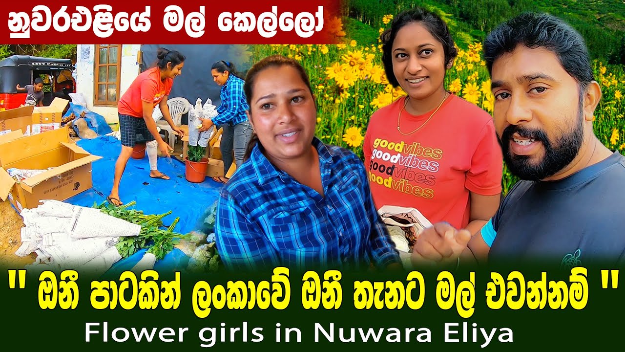නුවරඑළියේ මල් කෙල්ලන්ගෙන් ලංකාවේ ඔනී තැනකට මල් |ගෙඩියක් 100ක් වෙන නවාතැනේ සුපිරි වැල | kuda oya gest