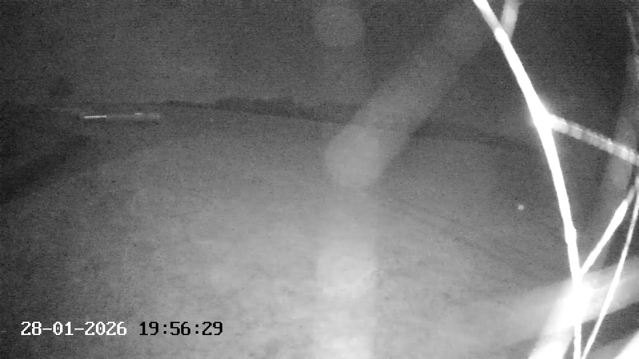 DSGC Cam 3 - Facing West