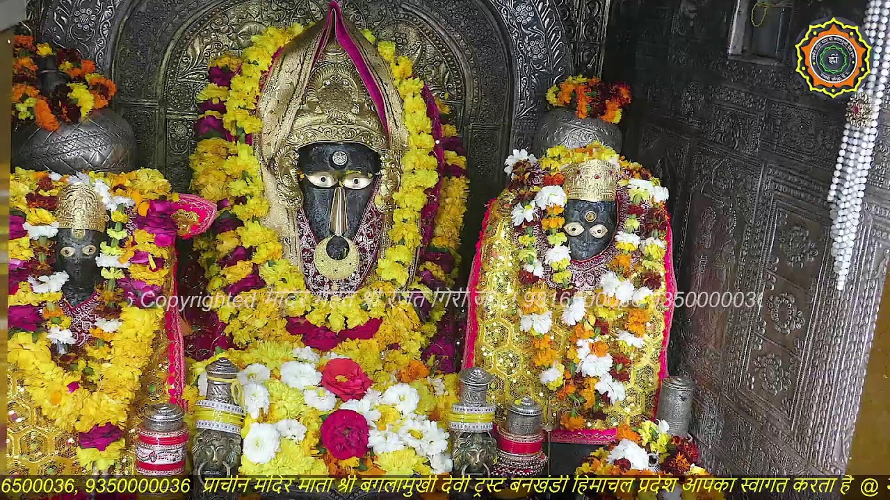 Maa Baglamukhi Official_Live Darshan_mahant shree Rajat giri ji_