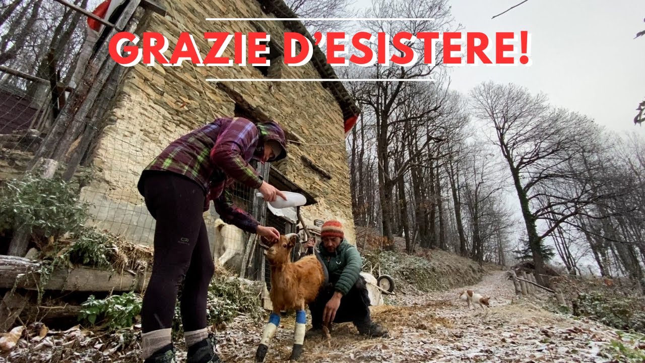 Siete la nostra forza - Ep. 528 - Vita in Montagna