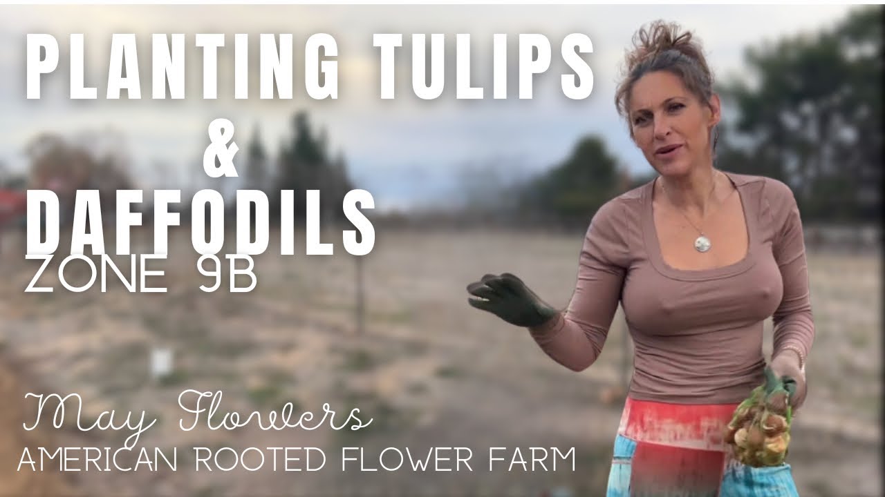 Посадка тюльпанов и нарциссов: ЗОНА 9B #firstyearupickflowerfarm