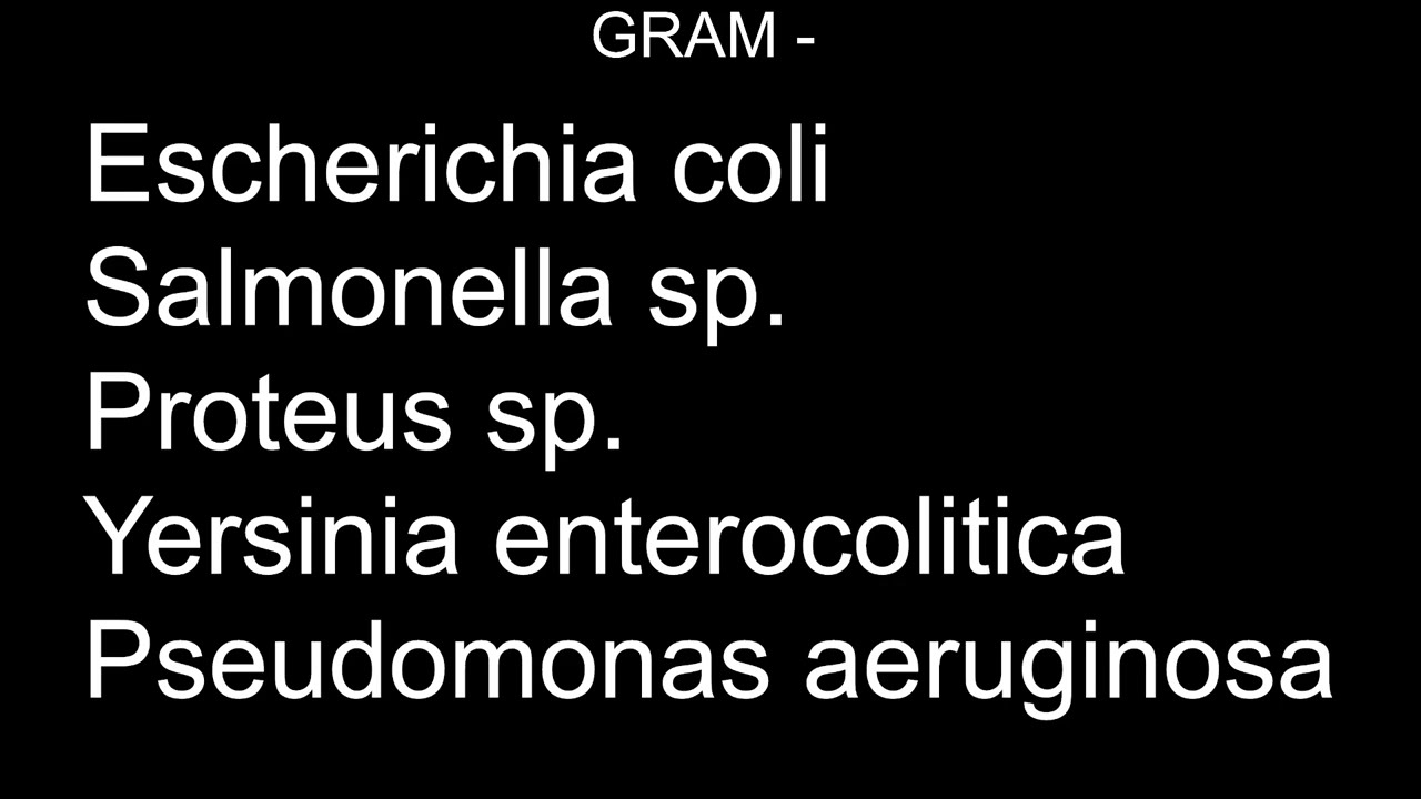 Bacteriolog&iacute;a Veterinaria, Gram -, Enterobacterias