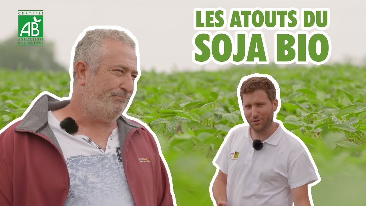 Le soja, une culture idéale en AB pour Jean-Marc Gourdon | Les pieds dans les champs