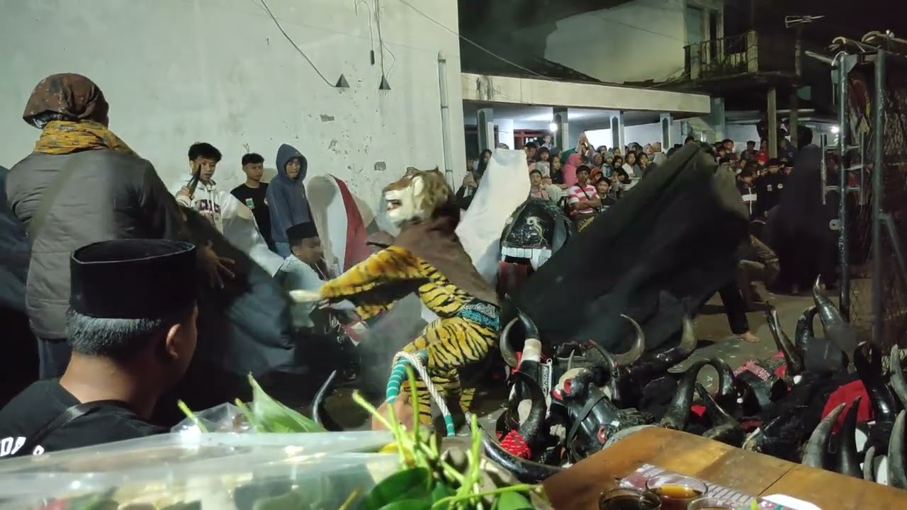 KALAPAN KESENIAN BANTENGAN ORI‼️GRUP SENOPATI MUDA‼️