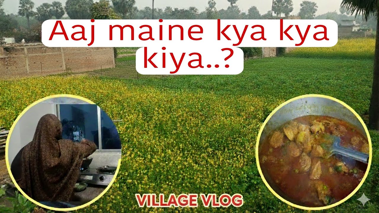 Aaj Maine kya kya kiya ? 