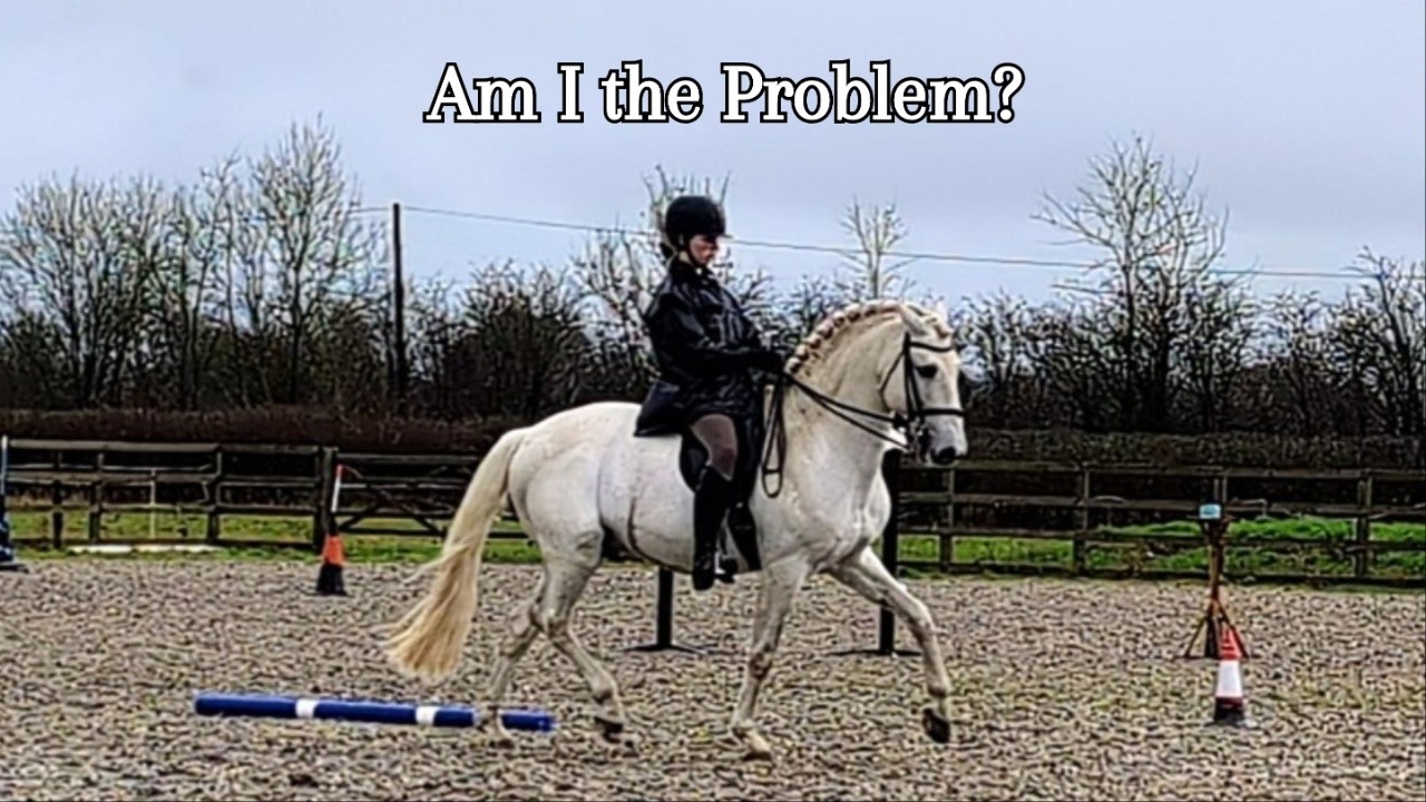 Back to the Drawing Board | Working Equitation Competition Diary #1