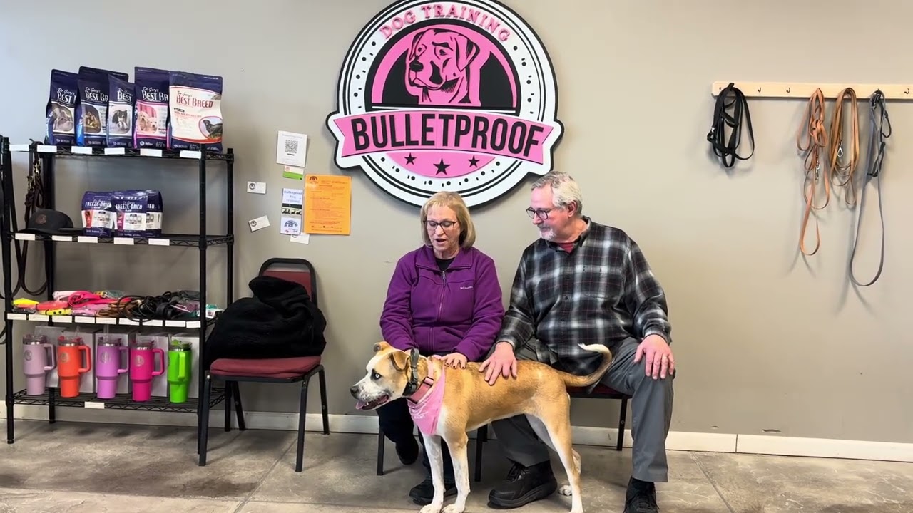 Susie graduated from our 15 Day Board & Train! Here is what her parents had to say! #customerreview
