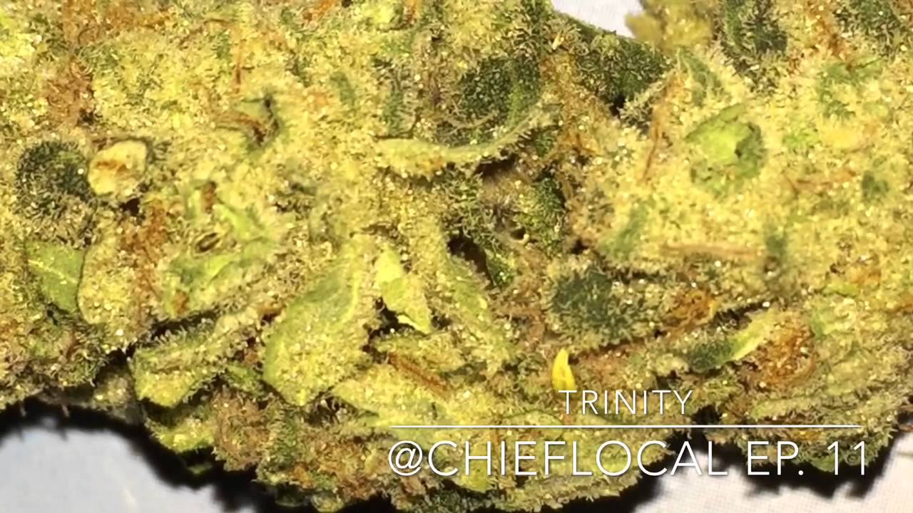 Trinity Strain Review