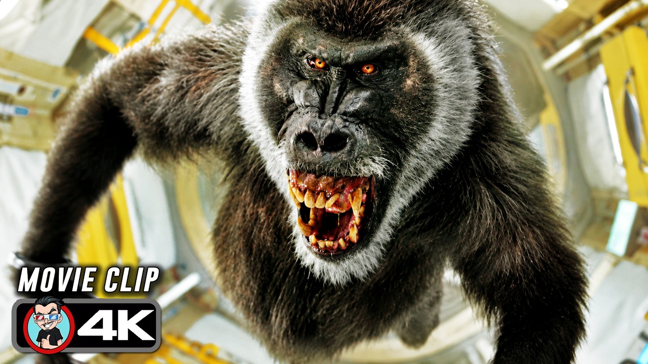 Violent Baboons In Zero Gravity | AD ASTRA (2019) Movie CLIP 4K