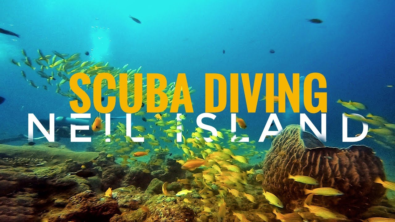 Scuba diving in Neil Island | Andaman diaries  | Diveindia | Harsha Chandu | Gopro Hero6