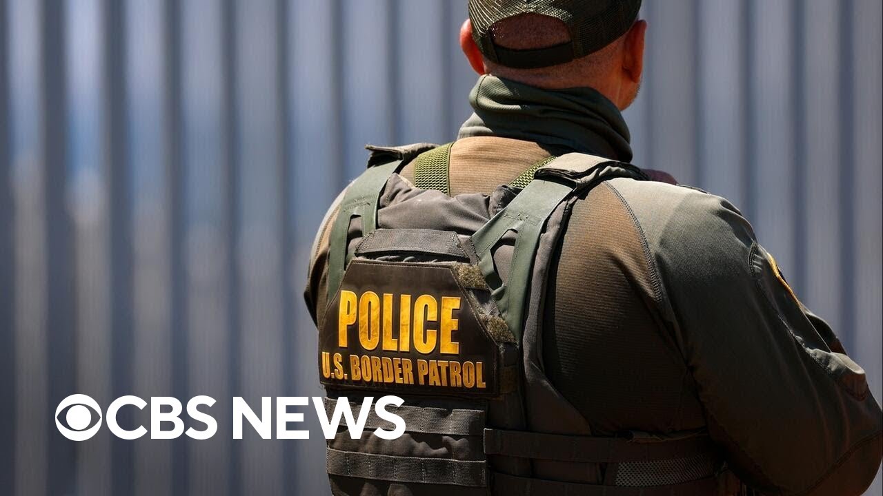 How many undocumented immigrants have left the U.S. this year?