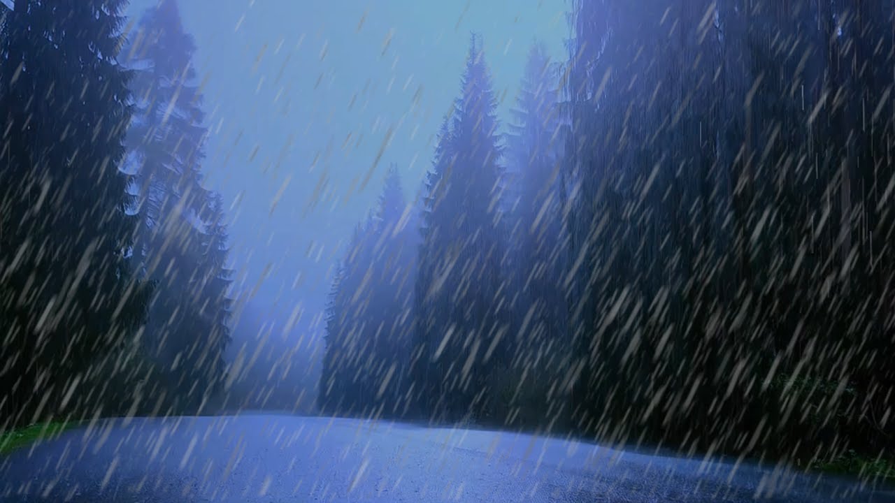 Rain and Thunder Over Forest Road at Midnight – 10 Hours of ASMR Storm for Deep Sleep