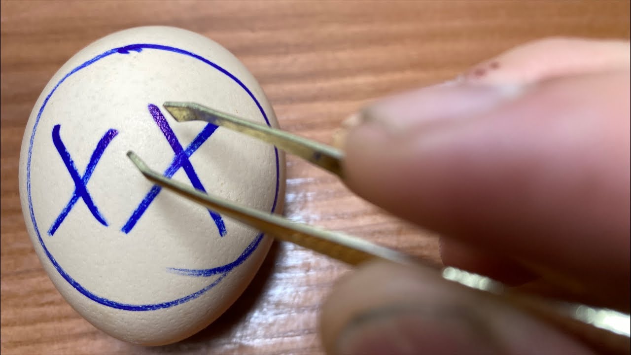 RAW EGG PEELING LIVE