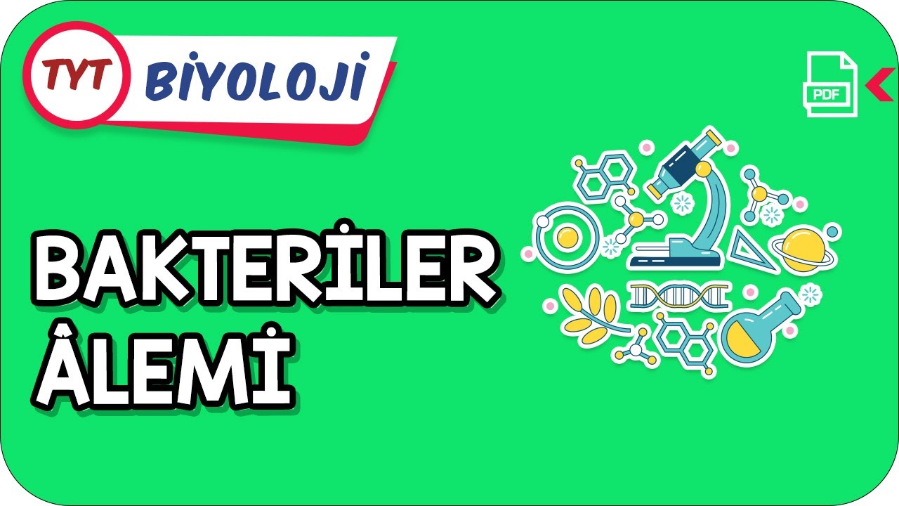 Bakteriler Âlemi | TYT Hızlanış Kampı       #Kamp2021