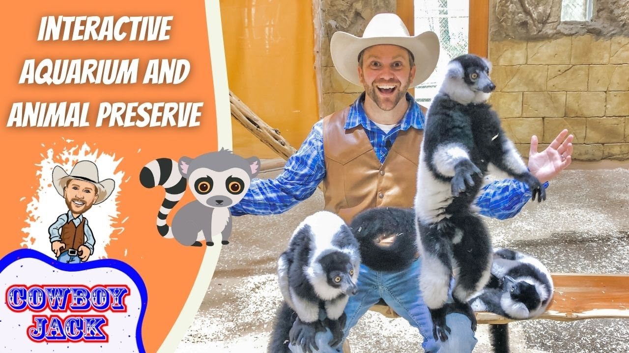 Interactive Aquarium Fun | Cowboy Jack