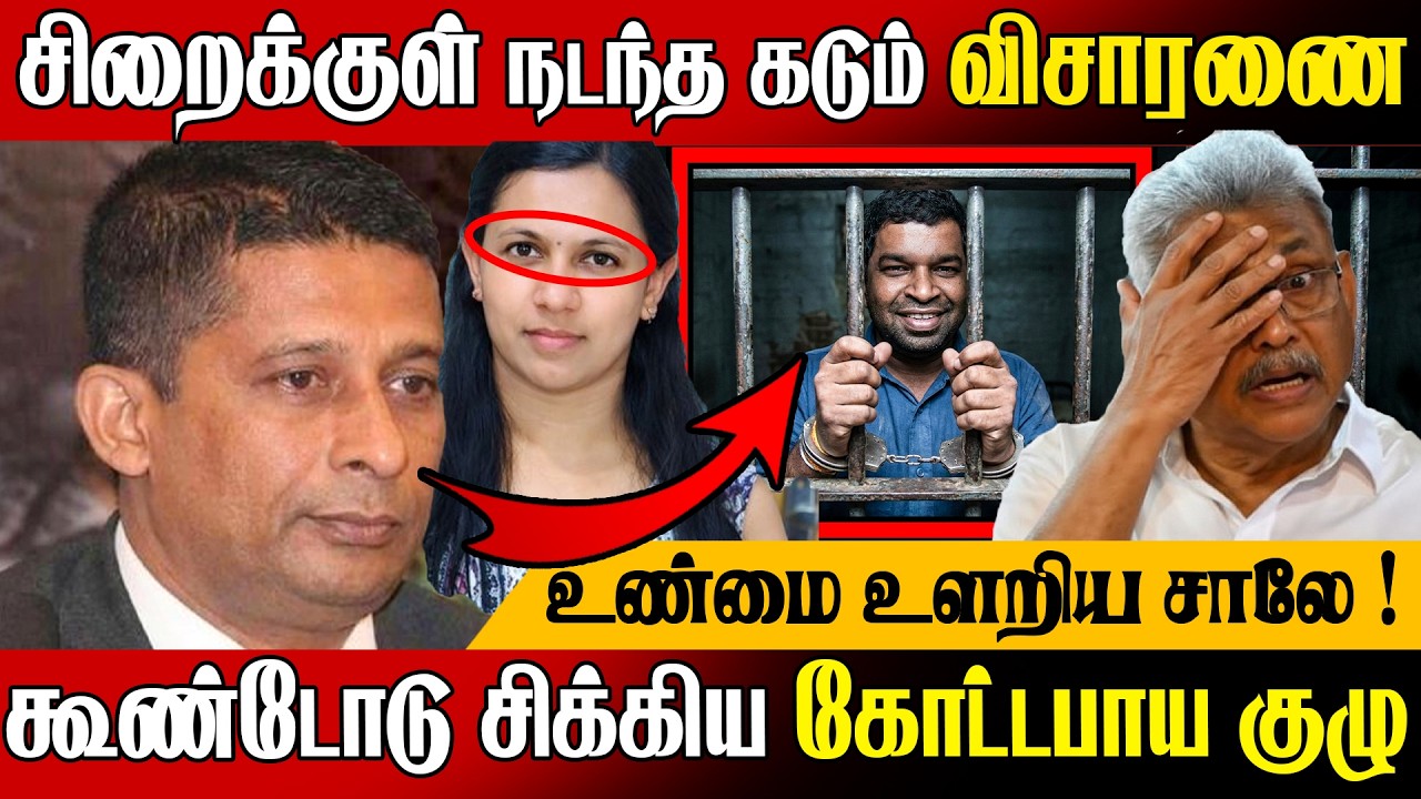 🚨உண்மைகளை உளறிய சுரேஷ் சாலே !💥 சிக்கிய கோட்டாபய ராஜபக்ச | Suresh Sallay Arrested