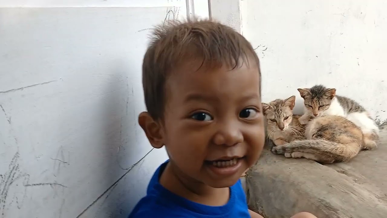 Lagi jailin kucing || Dede Hasby || #kucing #anak 