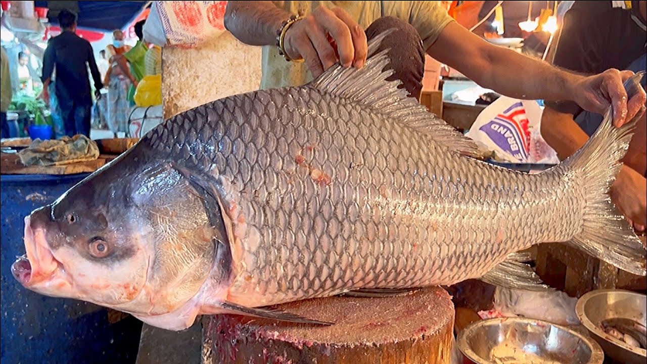17 Kg Giant Katla Fish Cutting Live In Fish Market | Fish Cutting Skill Bangladesh