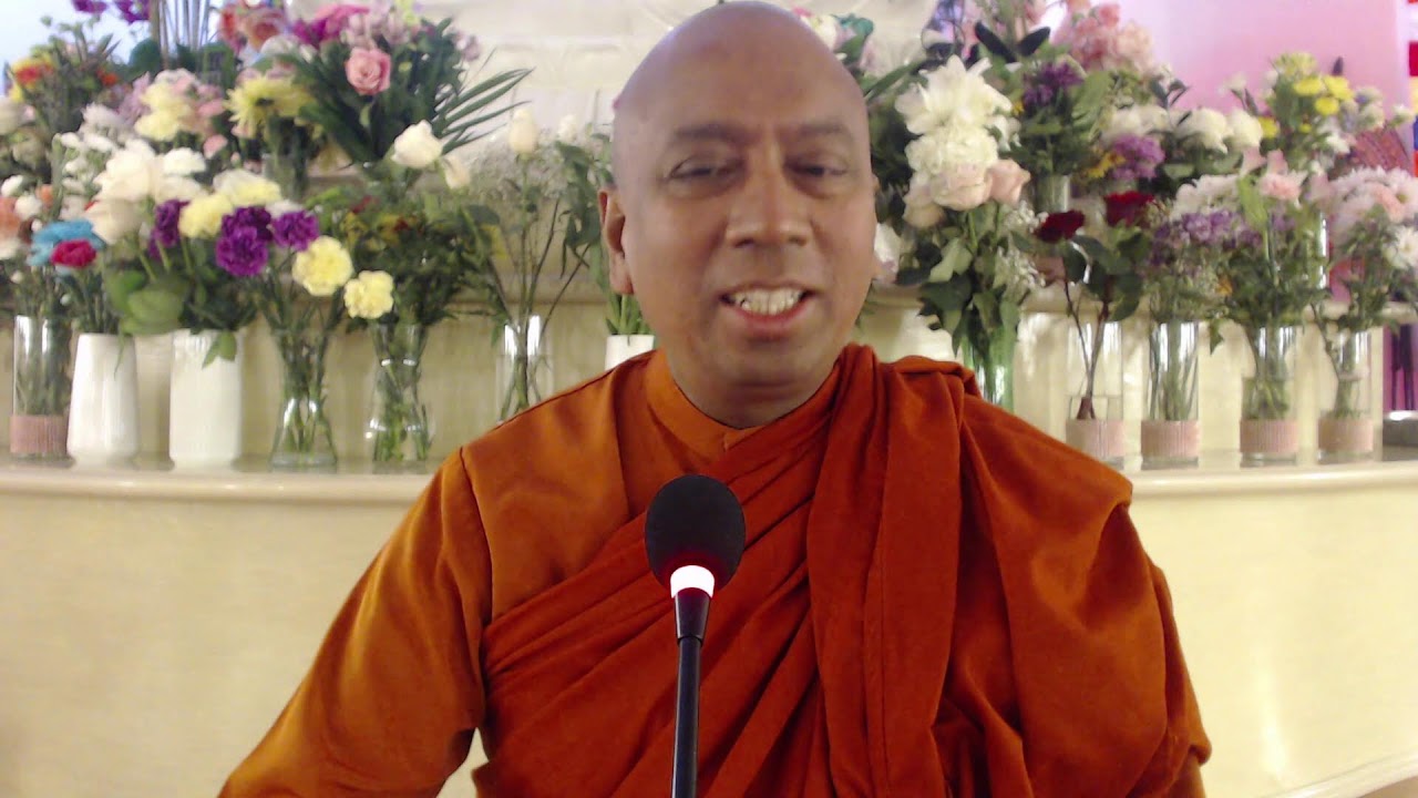 Topic “Practicing the Four Right Efforts: The Buddha’s Formula for Inner Freedom”